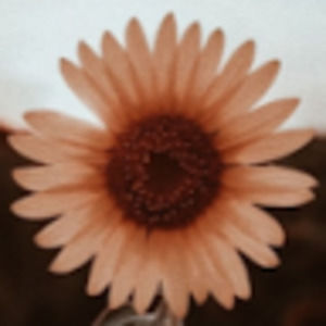 Meet your Posher, Kaylie